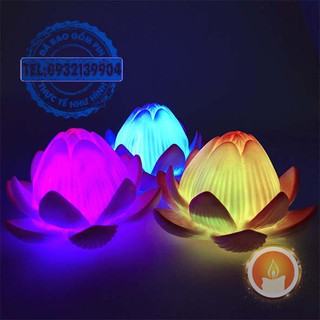 Đèn hoa sen đổi màu [KÈM SẴN PIN]