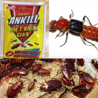 DIỆT DÁN,KIẾN BA KHOANG,CÔN TRÙNG CỰC AN TOÀN ,HIỆU QUẢ