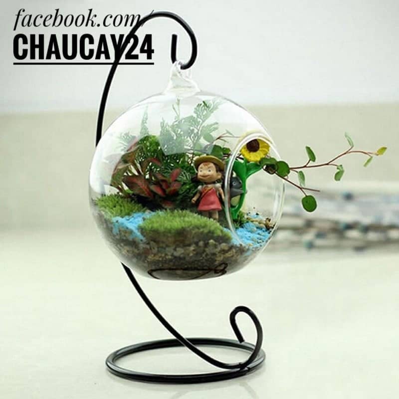 Giá treo kèm chậu thủy tinh 10 cm dùng trang trí terrarium, tiểu cảnh, sen đá, xương rồng