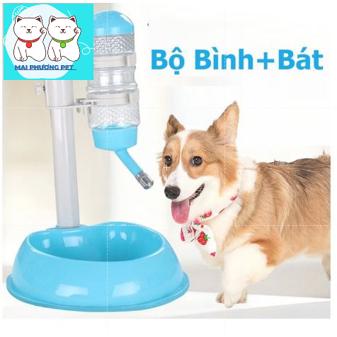Bộ Bình bát xịn cho chó mèo tự động cấp nước kèm bát ăn thú cưng