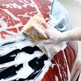 Bọt biển rửa ô tô xe máy loại to có dây treo