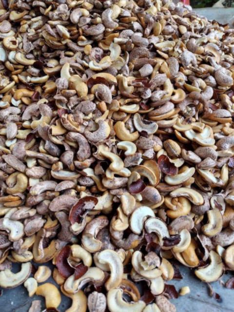 Hộp 500g ĐIỀU RANG MUỐI VỠ ĐÔI - loại xuất ngon | BigBuy360 - bigbuy360.vn