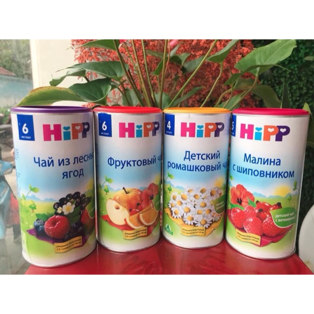 Trà hoa quả hip cho bé