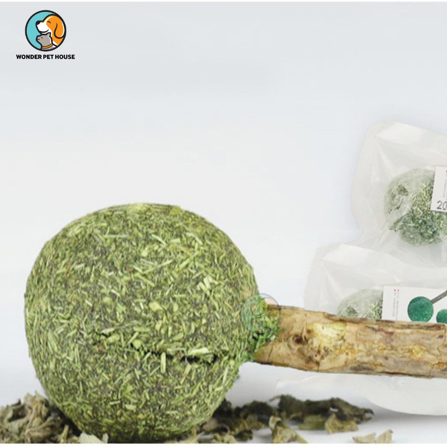 Kẹo Catnip Cây Gỗ Thơm Ngon Dành Cho Mèo