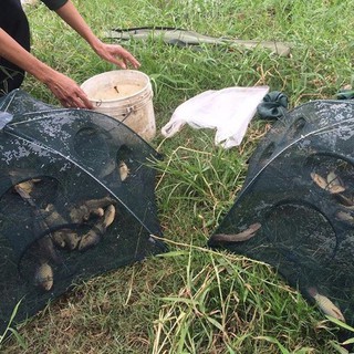 LƯỚI BẮT CÁ 8 CỬA