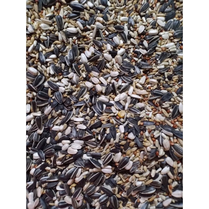 Hạt trộn vẹt trung 1kg.