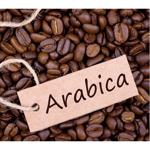 Cà phê Arabica No.1 Espresso Trần Quang cà phê hạt nguyên chất bịch mới 500g