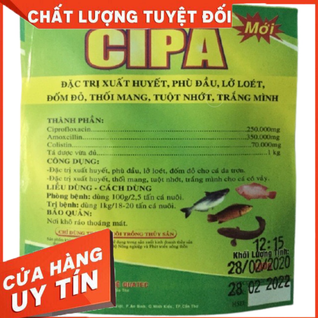 [TẶNG MÃ 50K] CIPA Đặc trị xuất huyết, phù đầu, lở loét, đốm đỏ, thối mang trên cá hiệu quả cao -Thuốc Thủy Sản Minh Tuệ