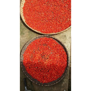 Combo 50 Hạt Dổi, 50g Mắc Khén loại 1