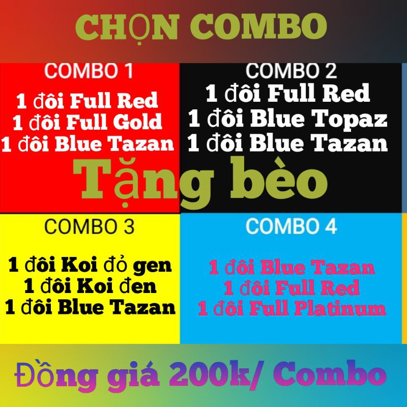 🐟12 COMBO GUPPY Trang Trí Hồ Cá- Nga Guppy - Xem kỹ hình ảnh bên phải 👉