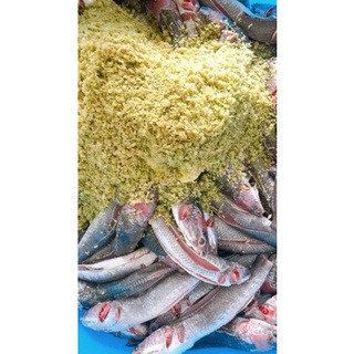 65k 500gr Cá Lóc Đồng Sả Ớt(giao hỏa tốc TP HCM)