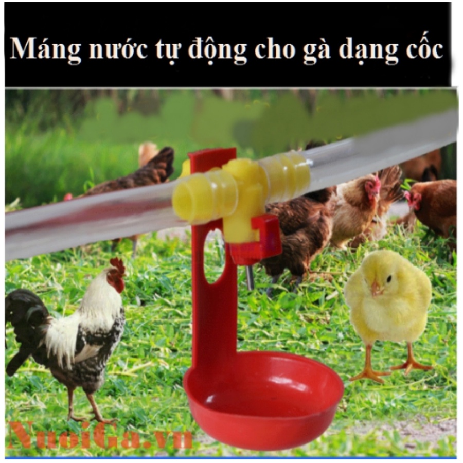 NÚM UỐNG NƯỚC TỰ ĐỘNG CHO GÀ  BỘ 10 NÚM