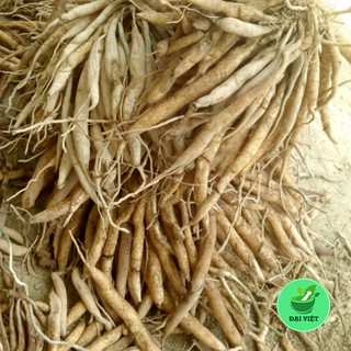 Củ bách bộ khô [1kg]  DV104