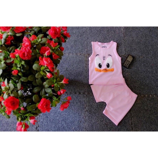 Set vịt hồng
