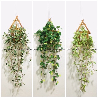 Giỏ dây rủ trang trí,treo quán ,ban công hằng decor