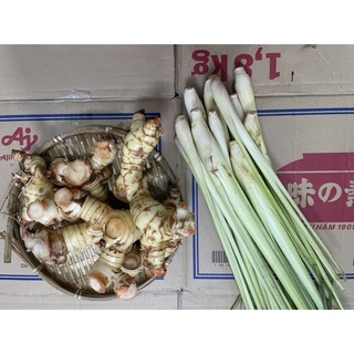 SẢ CÂY TƯƠI