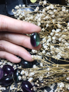 Lu thống florit sale 20-10