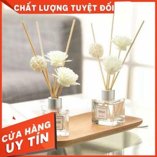 Tinh dầu thơm để phòng banhgao18a