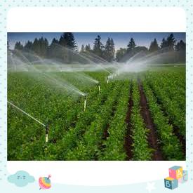 2 Béc tưới cây cánh đập chỉnh góc tưới ren ngoài 27mm trục inox cao cấp