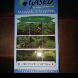 Hạt giống cây thuỷ sinh
                GASED