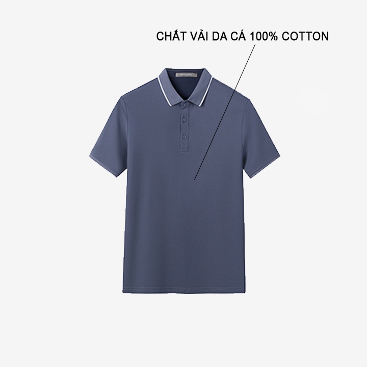 Áo POLO nam màu xám vải cá sấu Cotton xuất xịn, chuẩn form trẻ trung, thanh lịch - Trady Fashion | BigBuy360 - bigbuy360.vn