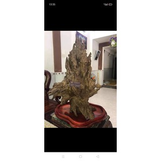 Trầm cảnh trưng bày