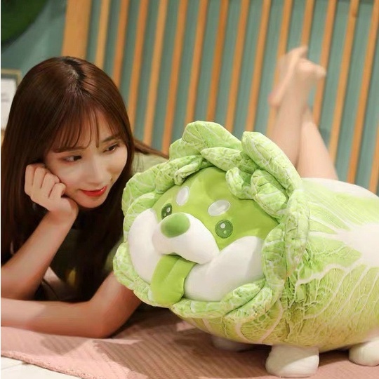 Gấu bông chó Shiba Cải Thảo Vegetable Fairy siêu dễ thương kích thước 30-50-60cm Giá Rẻ