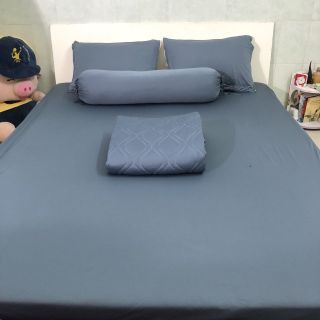 Combo 5 set 1 ga + 2 vỏ gối nằm 1m6 thun hàn