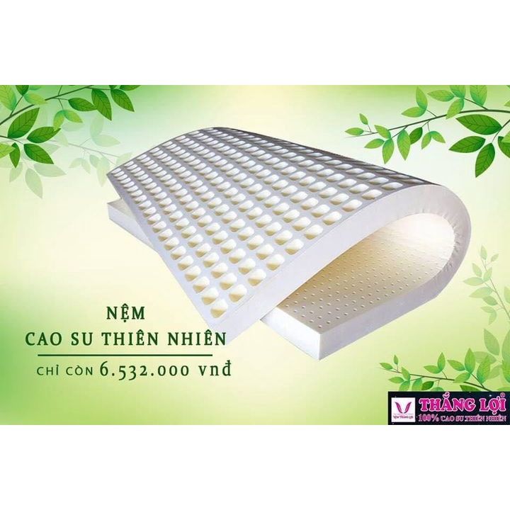 (BH 15 năm) Nệm 5cm Nệm cao su thiên nhiên 100% Thắng Lợi 5cm khuyến mãi kèm quà. free ship toàn quốc