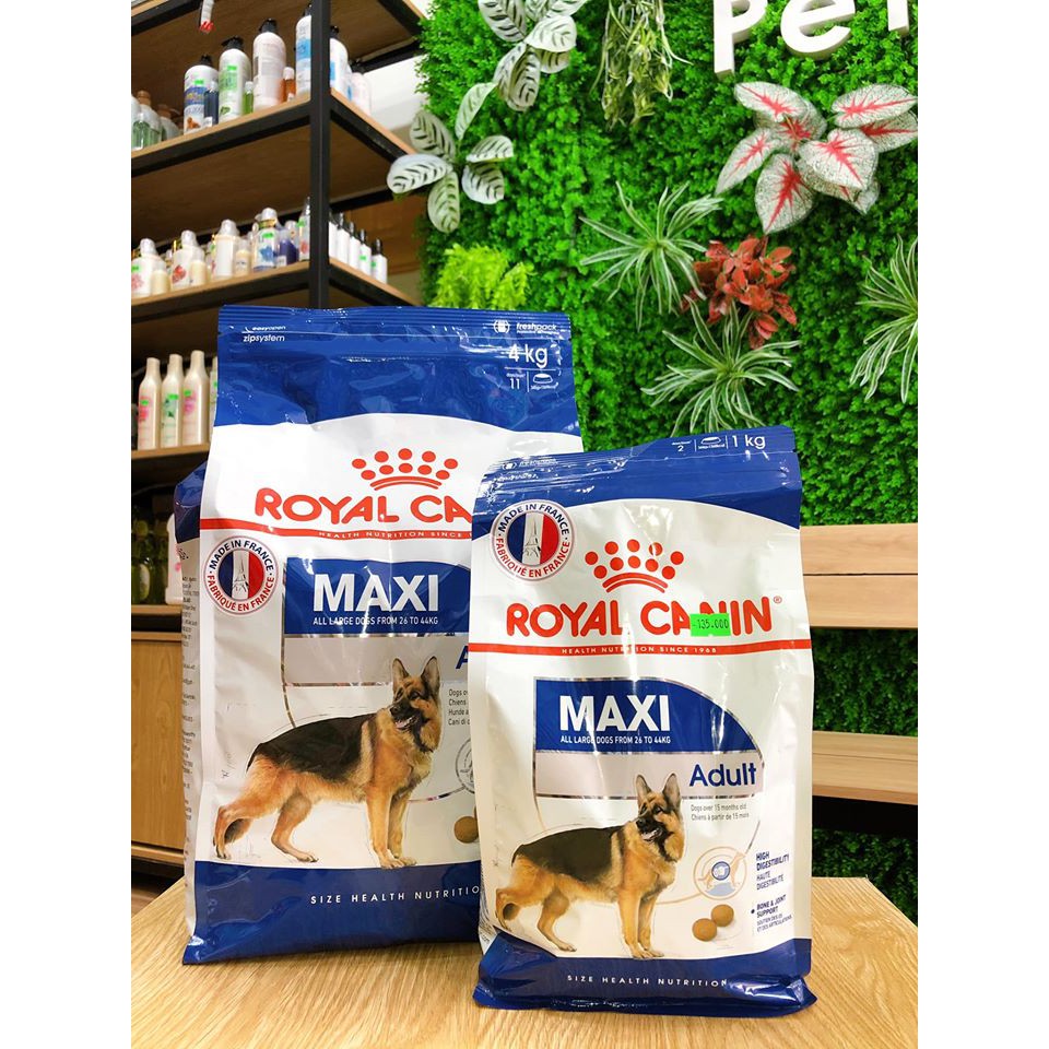 Thức Ăn cho chó Royal Canin MAXI PUPPY/MAXI ADULT Gói 1KG