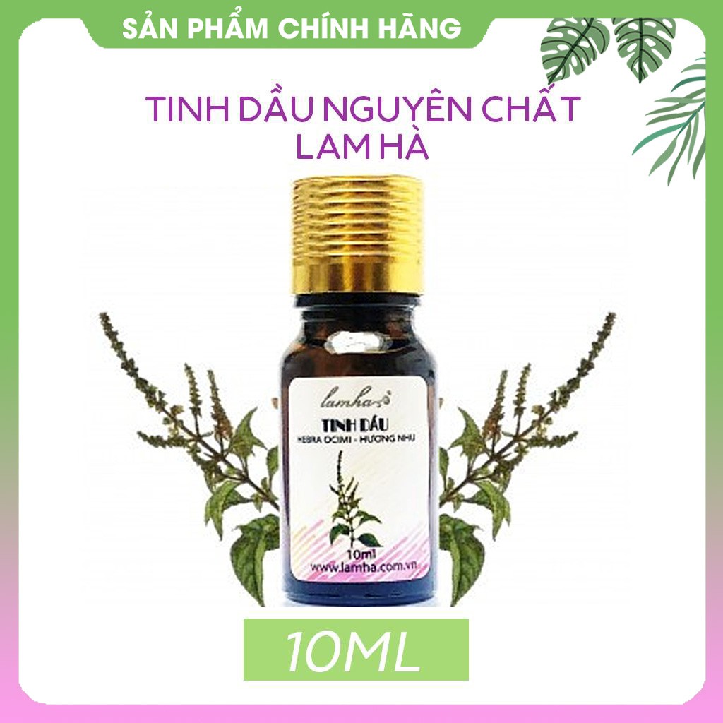 Tinh dầu hương nhu Lam Hà dưỡng tóc, ngăn rụng tóc, xông hơi, súc miệng Tinh Dầu 100 Shop