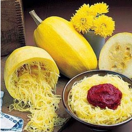 Hạt giống bí ngô sợi mì - Tặng gói kích nảy mầm
