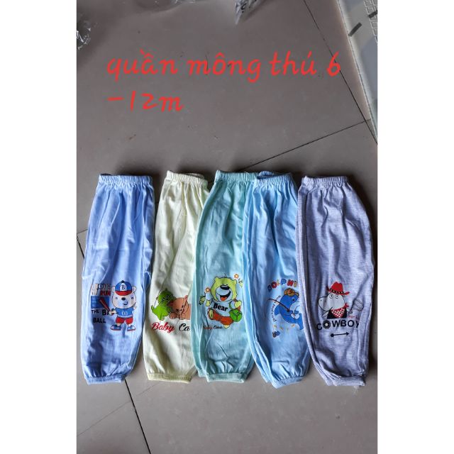 Combo 10 quần mông thú Carter loại mỏng