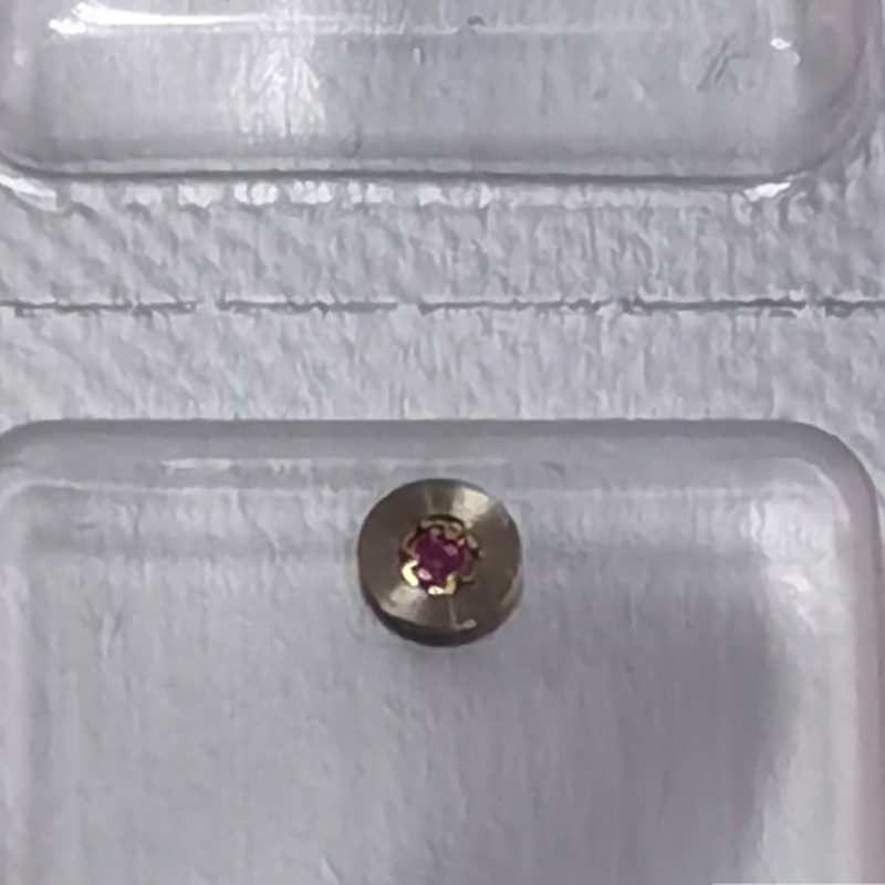 Linh Kiện Giảm Xóc Đá Quý Cho Đồng Hồ 2836 2824 2834 2836 2824