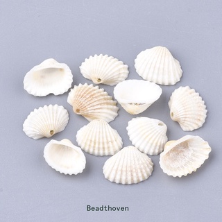 5-20pc vỏ xoắn ốc charms shell creamy white 10 ~ 13x14 ~ 18x5 ~ 6mm lỗ: 1.2mm
