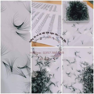 Mi fan 7D ( hộp 500 fan) đen, mềm, đẹp, hàng xuất khẩu chuẩn size số