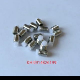 Ốc trí M6 INOX đầu gắn nhựa