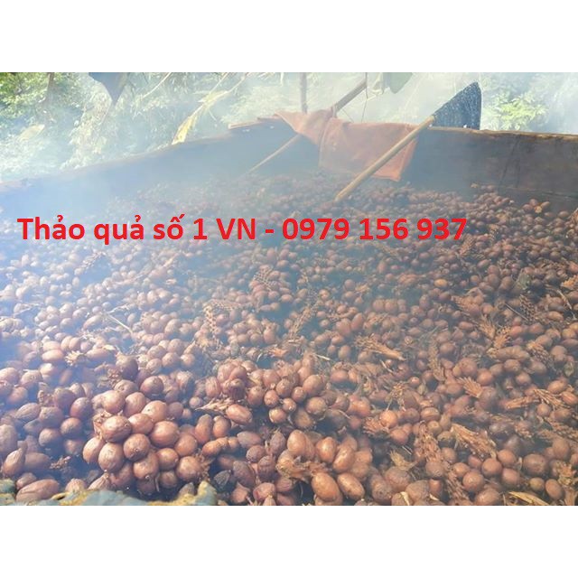 THẢO QUẢ KHÔ TÂY BẮC LOẠI 1