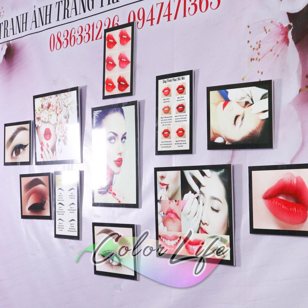 TRANH PHUN XĂM SPA TRANH DÁN PHUN XĂM SIÊU ĐẸP GIÁ RẺ SEOLIP3 ÁNH DƯƠNG SIÊU BỀN BẢO HÀNH 2 NĂM