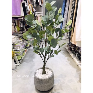 Cây giả - cây bạch đàn giả 85cm