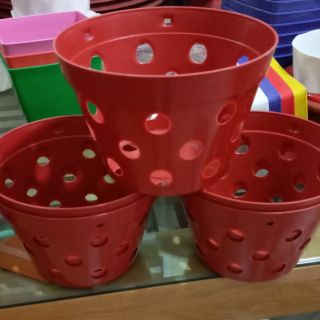 10 chậu NHỰA trồng lan siêu Hot rộng 20cm x13cm