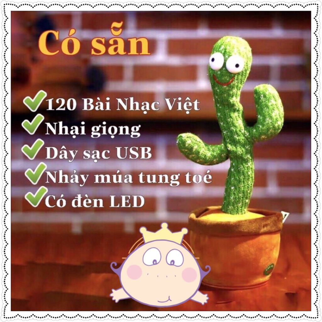 Cây sương rồng biết nói nhẩy múa và nhại giọng đáng yêu cho bé