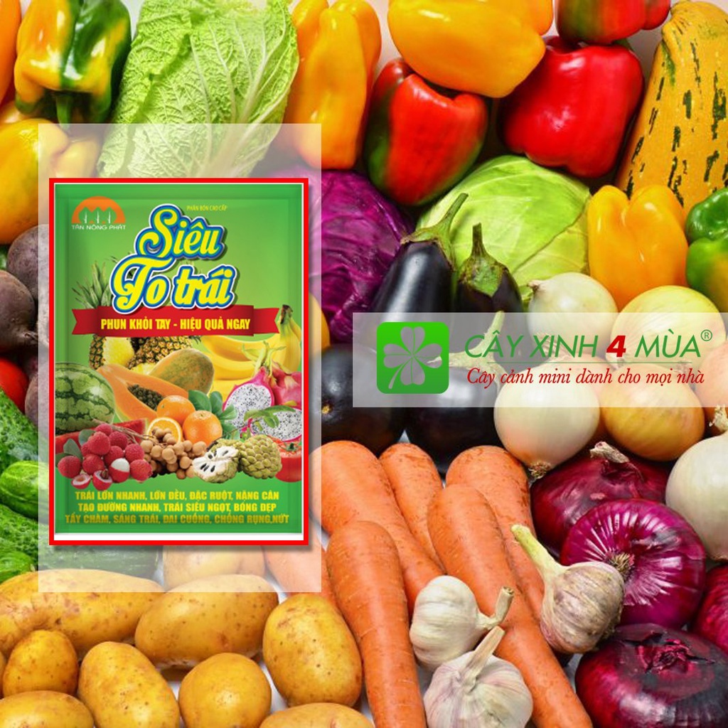 PHÂN BÓN CAO CẤP SIÊU TO TRÁI- phun khỏi tay- hiệu quả ngay- khối lượng 30g