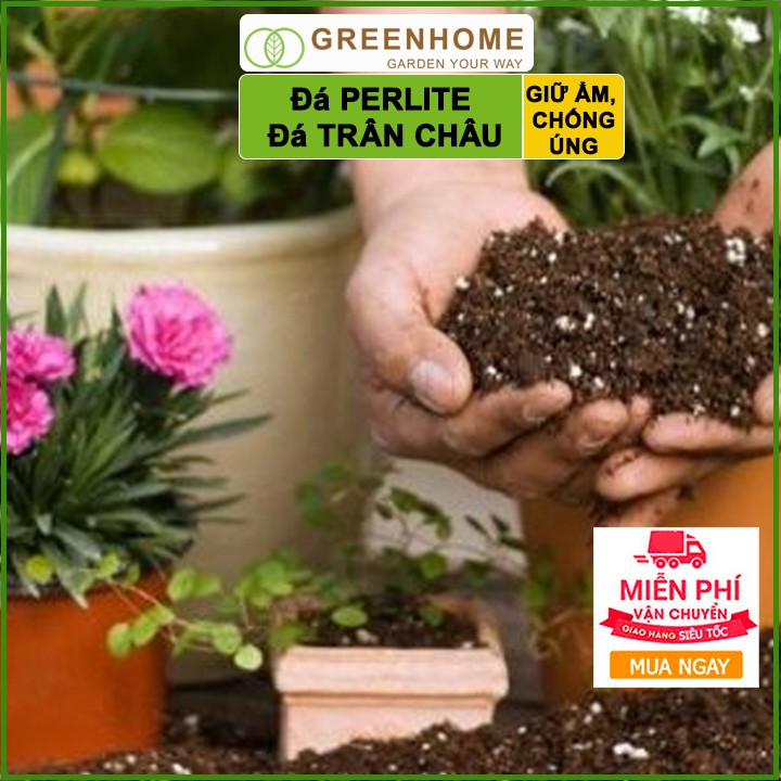 Đá Perlite, bao 2kg, đá trân châu trồng hồng, sen đá, thuỷ canh giàu khoáng chất, tăng độ tơi xốp trong đất |Greenhome