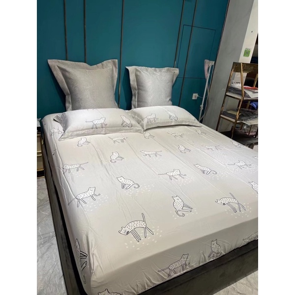 Ga gối tencel cao cấp 100T