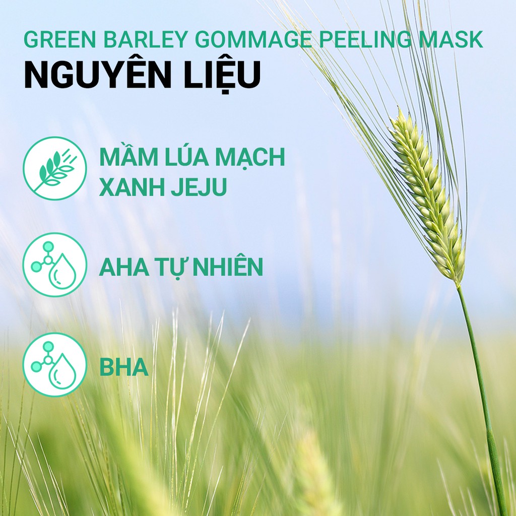 [Mã COSIF12 giảm 10% đơn 400K] Mặt nạ tẩy tế bào da chết từ lúa mạch xanh innisfree Green Barley Gommage Mask 120ml