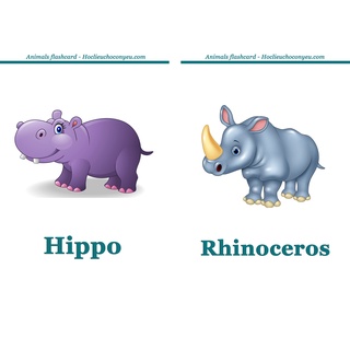 Flashcards - 52 thẻ động vật