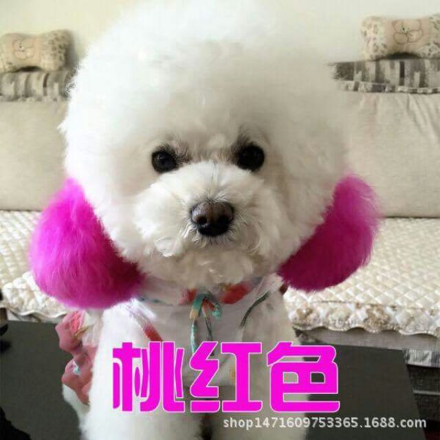 Thuốc nhuộm lông cho cún