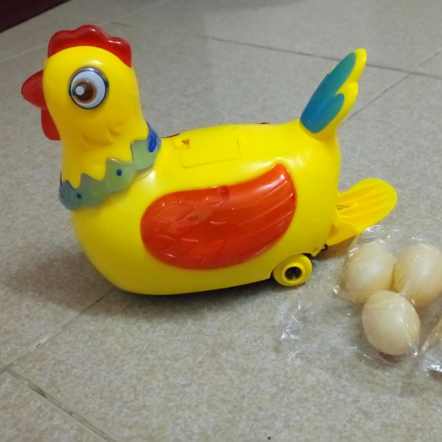 Gà đẻ trứng