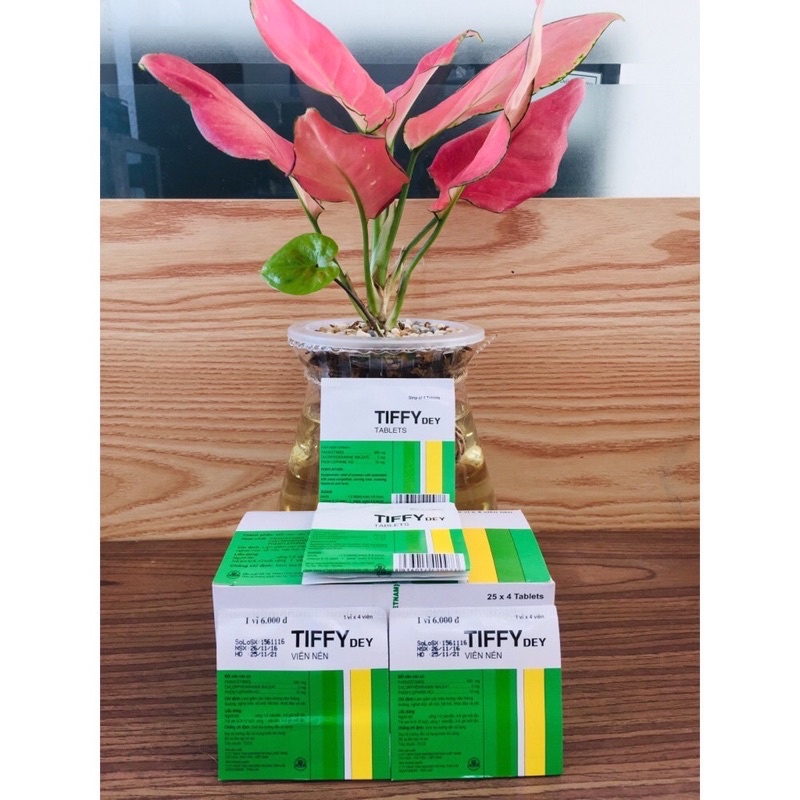 combo 1 h Tify 25 vỉ khách lẻ